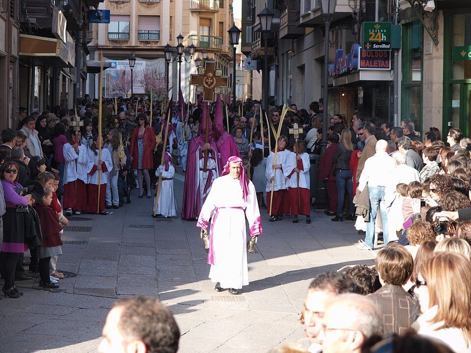 Procesión de la Real Cofradía de Jesús en su Entrada Triunfal en Jerusalén, La Borriquita, Zamora