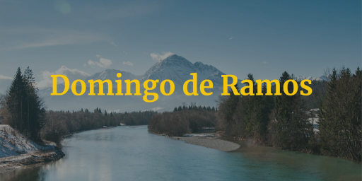 Procesiones Domingo de Ramos Córdoba 2024